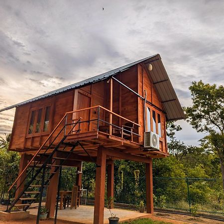 Willa Lion Wood Treehouse Talkote Zewnętrze zdjęcie