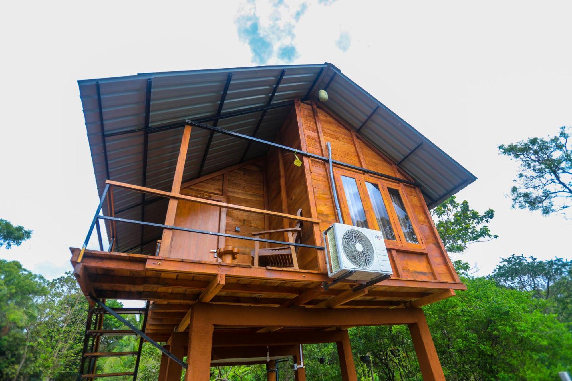 Willa Lion Wood Treehouse Talkote Zewnętrze zdjęcie