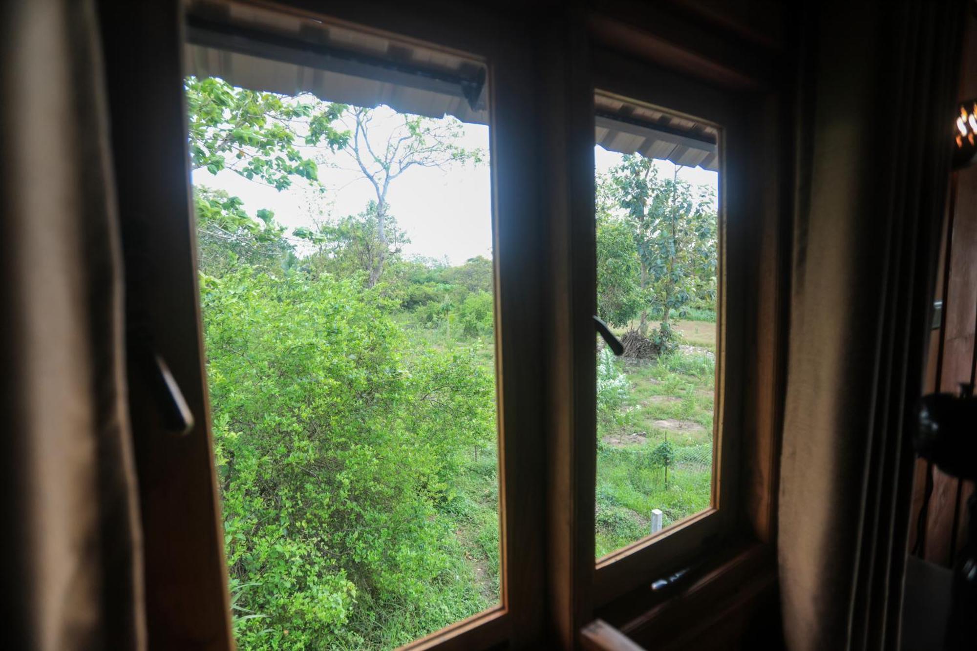 Willa Lion Wood Treehouse Talkote Zewnętrze zdjęcie