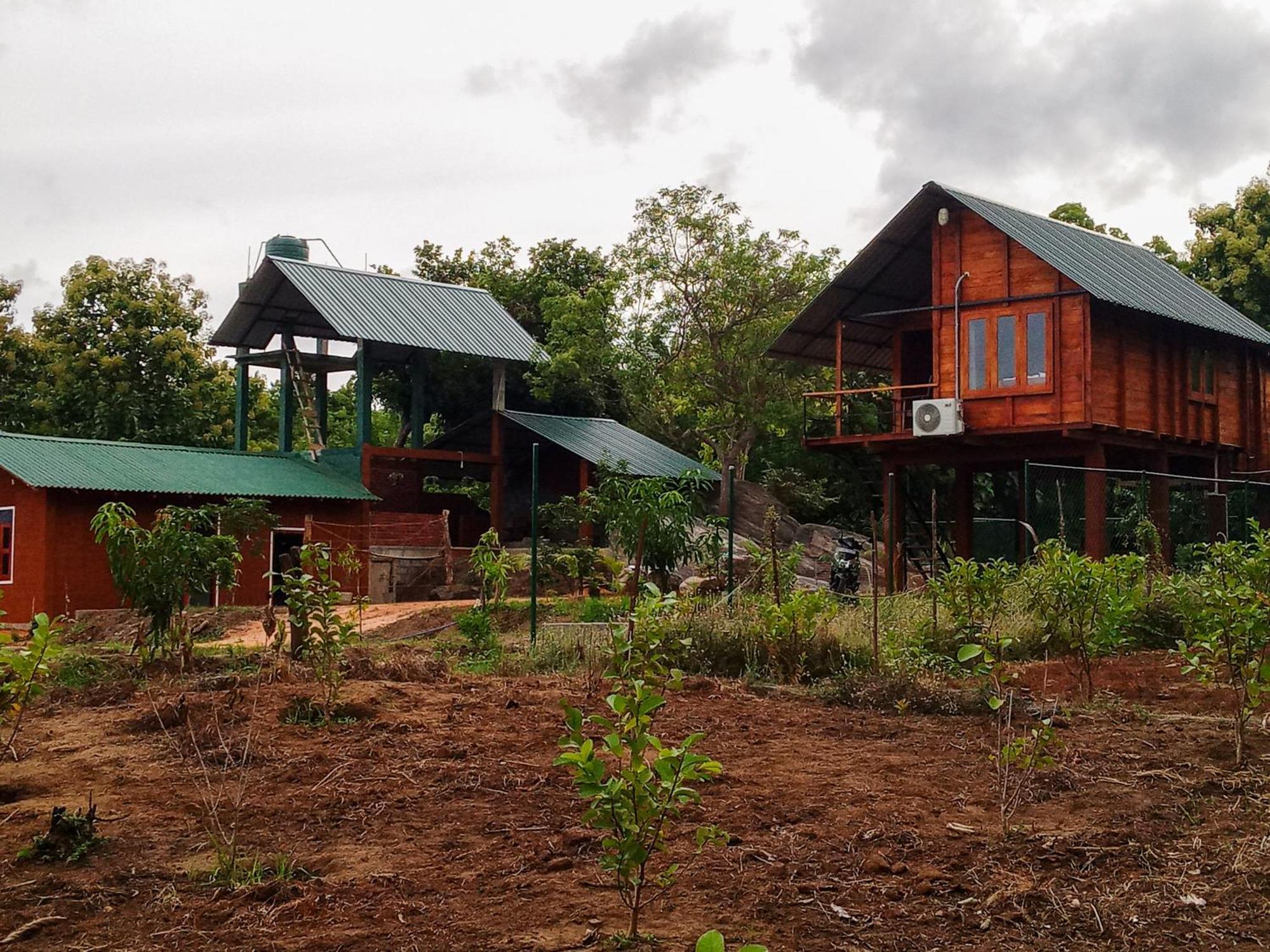 Willa Lion Wood Treehouse Talkote Zewnętrze zdjęcie