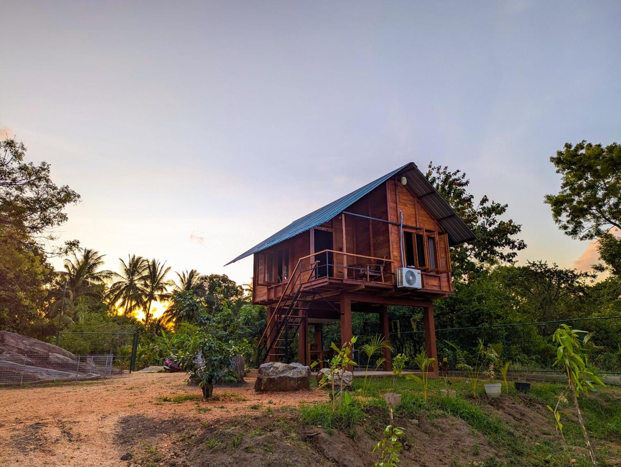 Willa Lion Wood Treehouse Talkote Zewnętrze zdjęcie