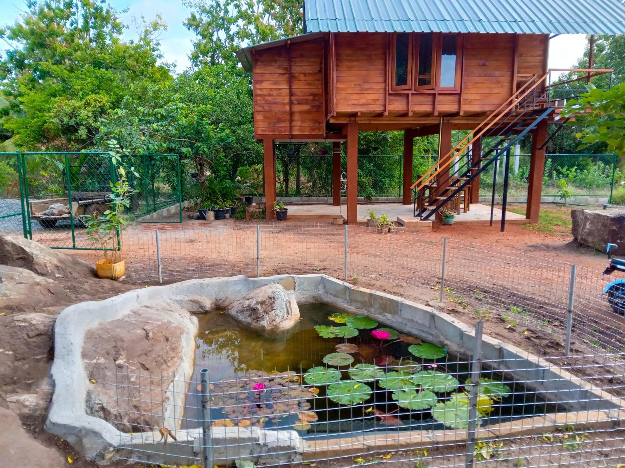 Willa Lion Wood Treehouse Talkote Zewnętrze zdjęcie