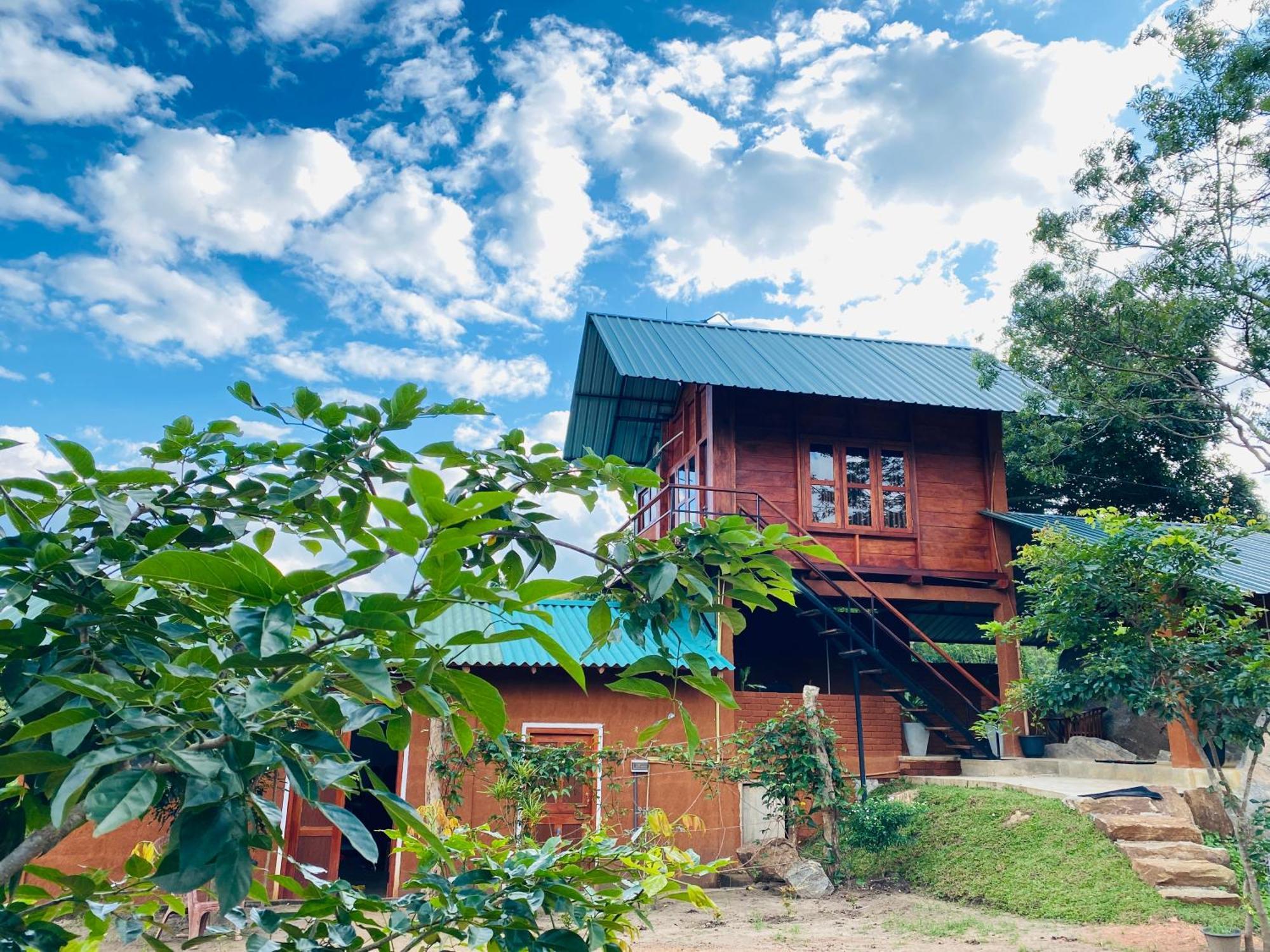 Willa Lion Wood Treehouse Talkote Zewnętrze zdjęcie
